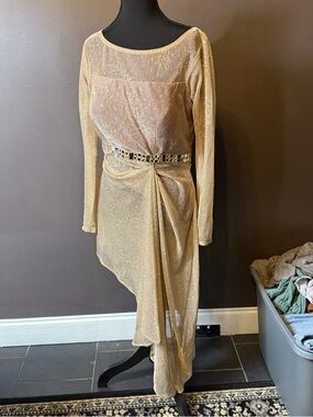 Indian/Pakistani Wear Gold Long-Sleeve Draped Evening Dress and pants
